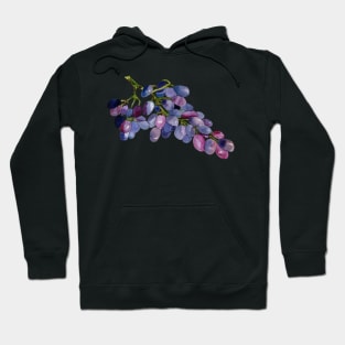 grapes Hoodie